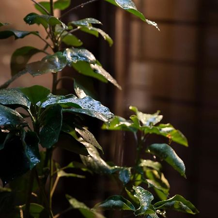 Kanazawa Machiya Kenroku 外观 照片