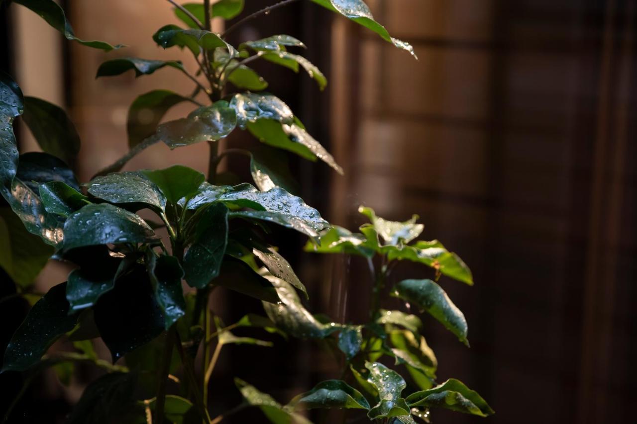 Kanazawa Machiya Kenroku 外观 照片